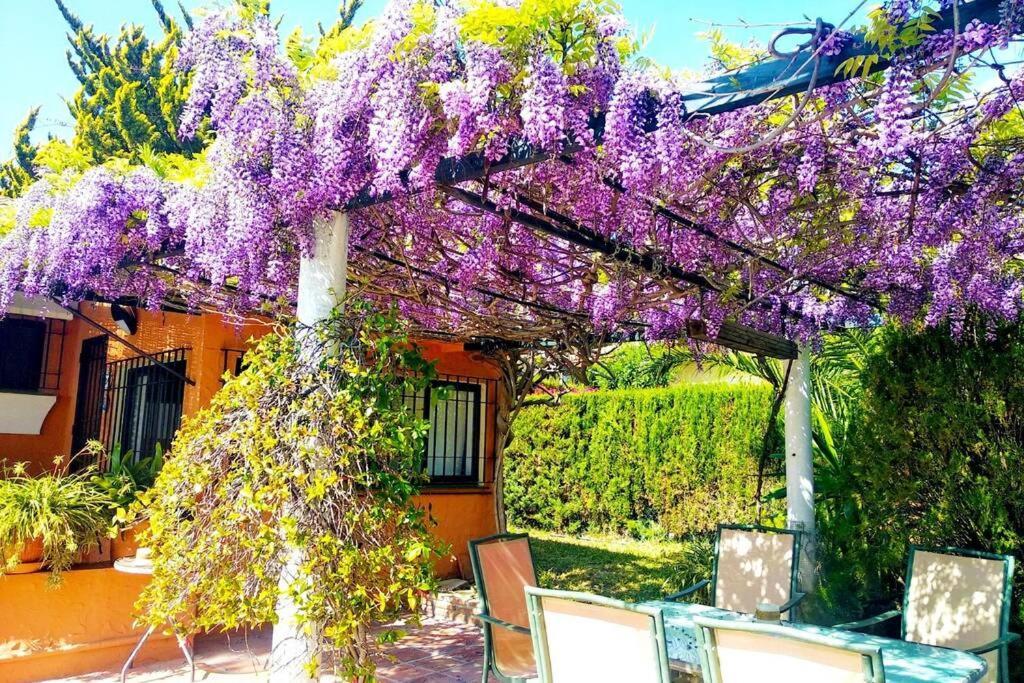 Villa Torrenueva Málaga Kültér fotó