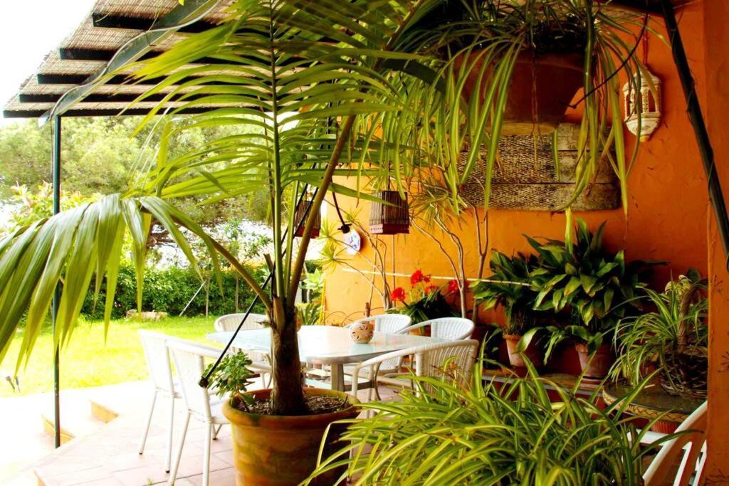 Villa Torrenueva Málaga Kültér fotó