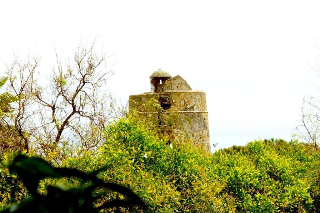 Villa Torrenueva Málaga Kültér fotó